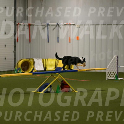 Ice-Jennifer-Walsh-07312