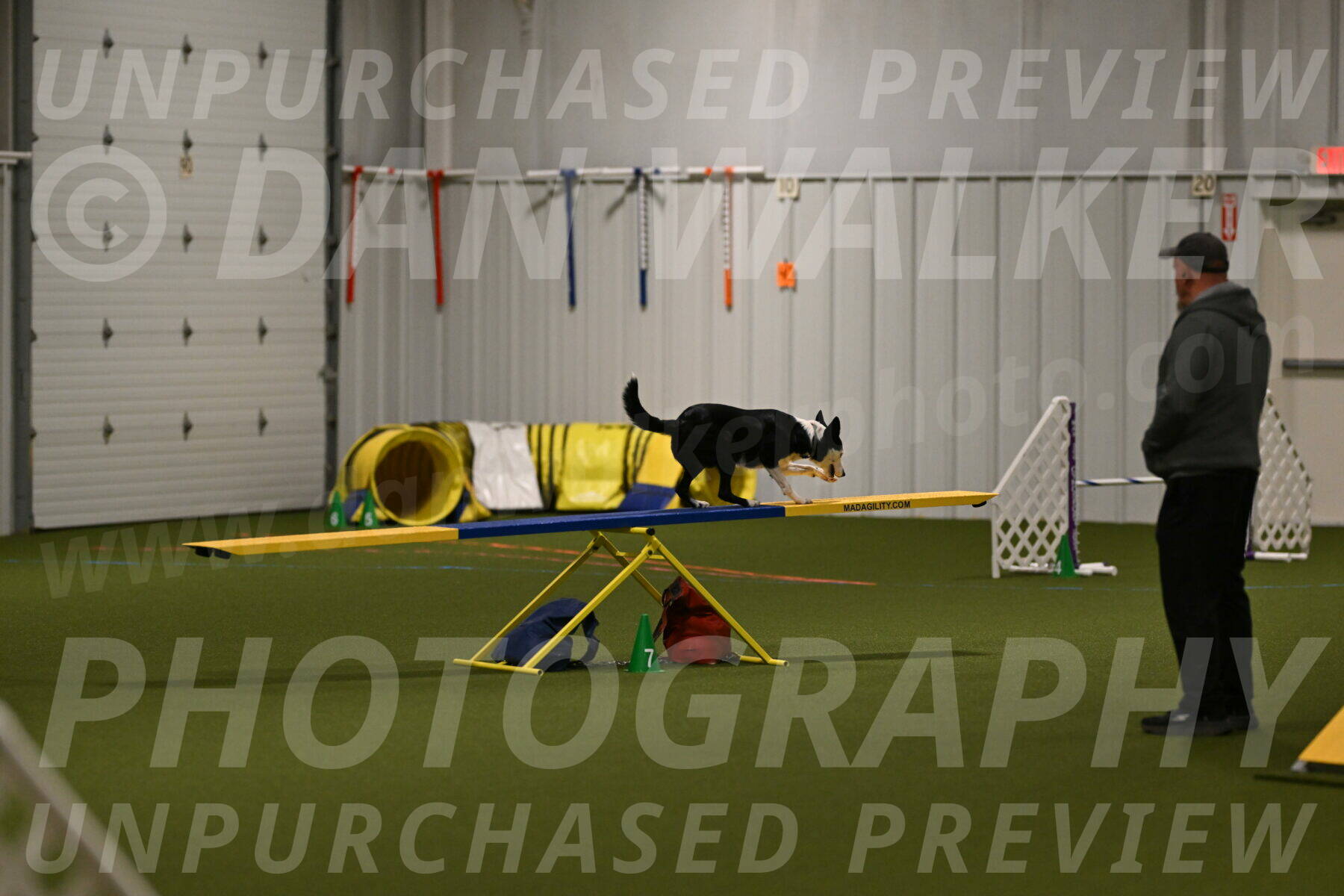 Ice-Jennifer-Walsh-07312