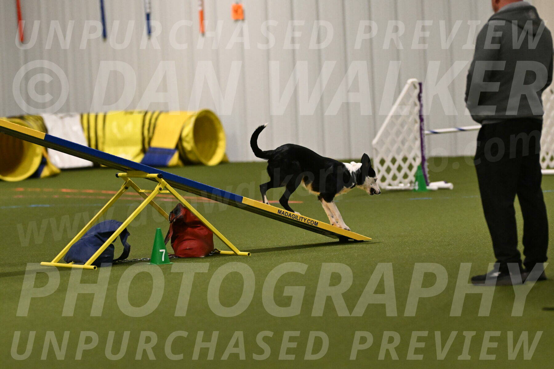 Ice-Jennifer-Walsh-07313