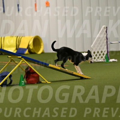 Ice-Jennifer-Walsh-07313