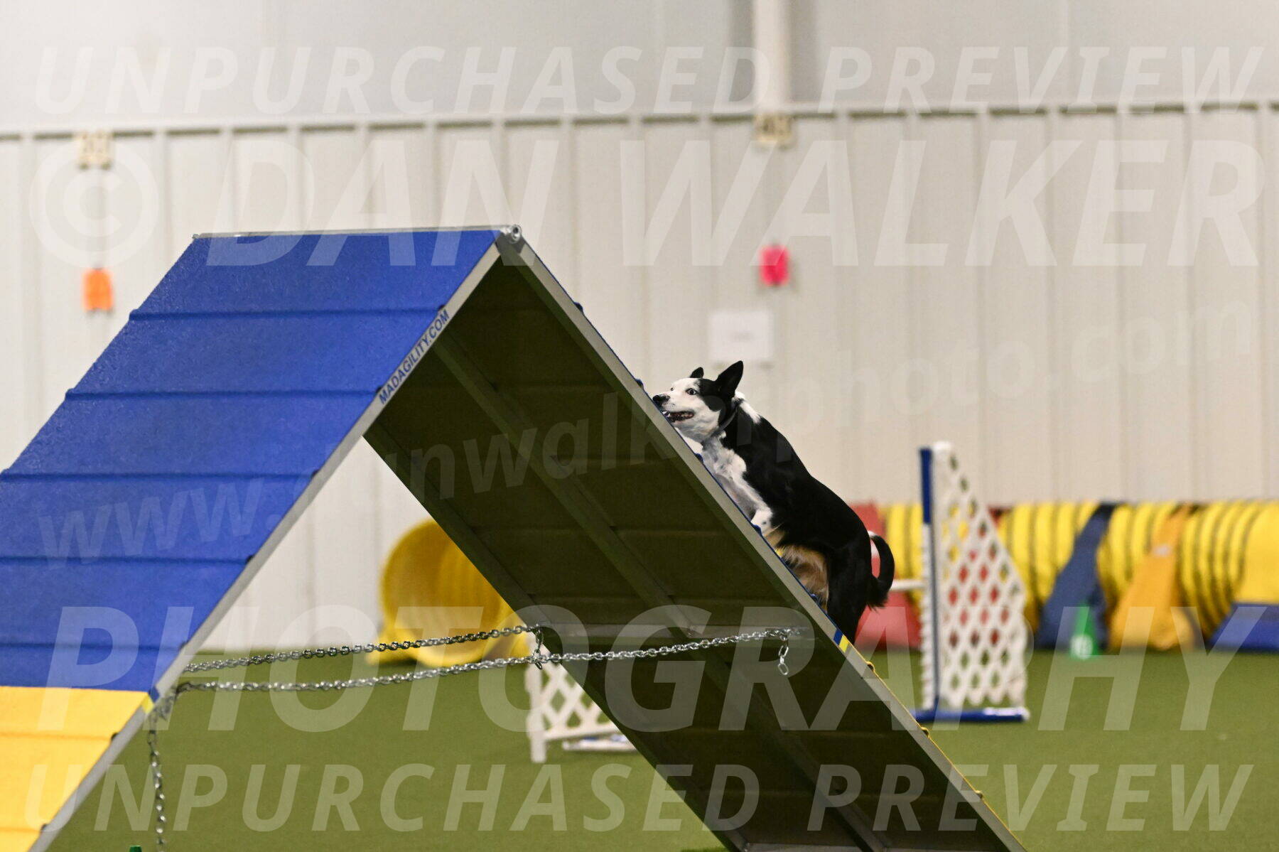 Ice-Jennifer-Walsh-07314