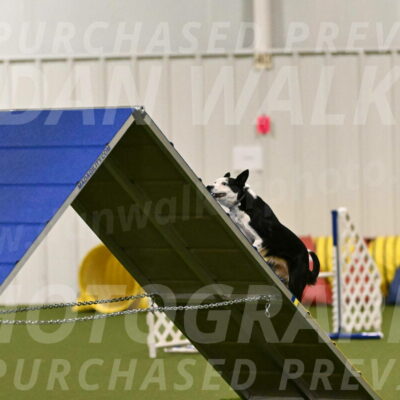 Ice-Jennifer-Walsh-07314