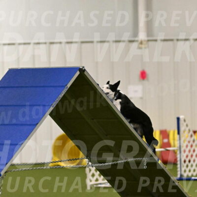 Ice-Jennifer-Walsh-07315