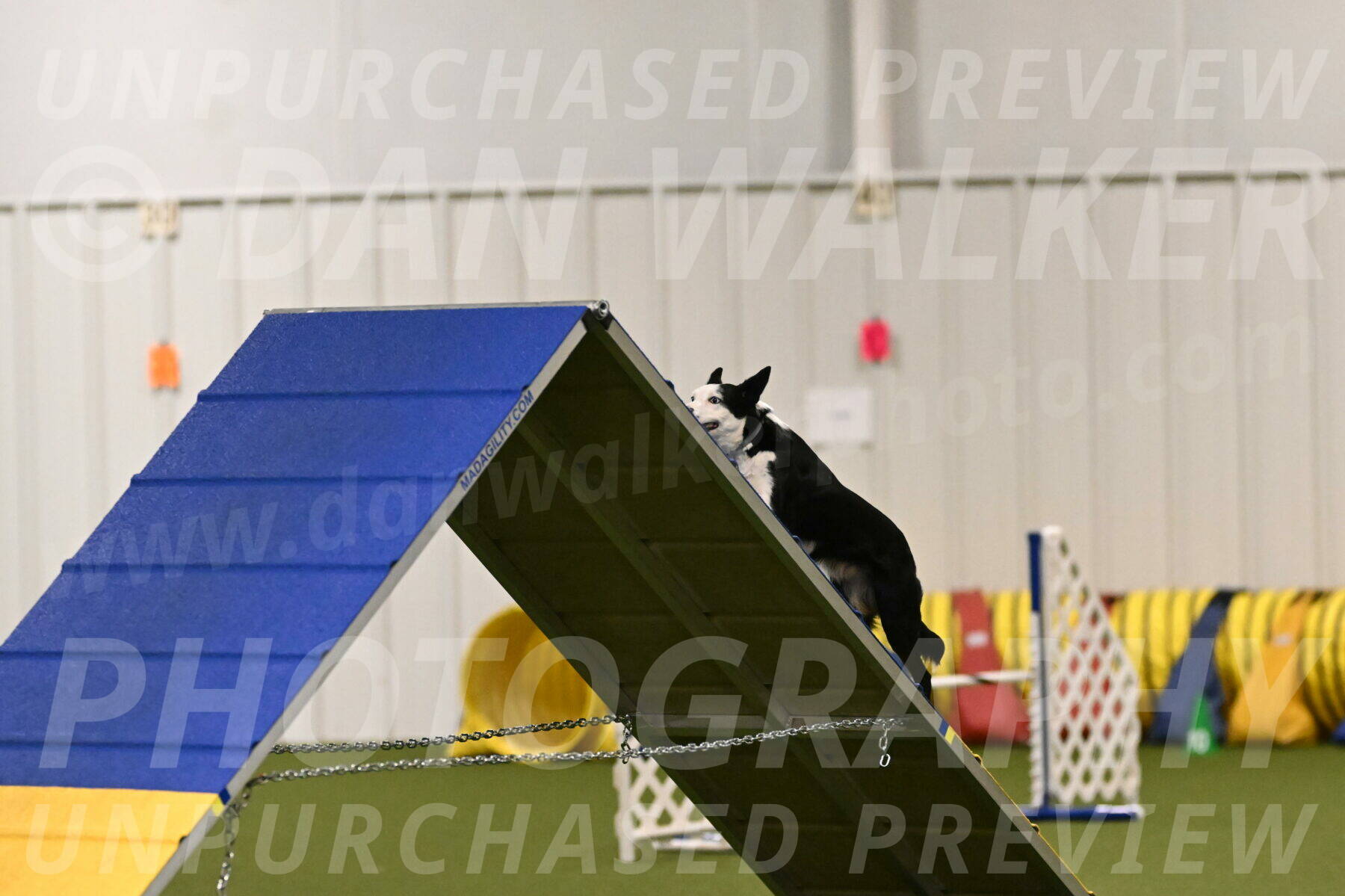 Ice-Jennifer-Walsh-07315