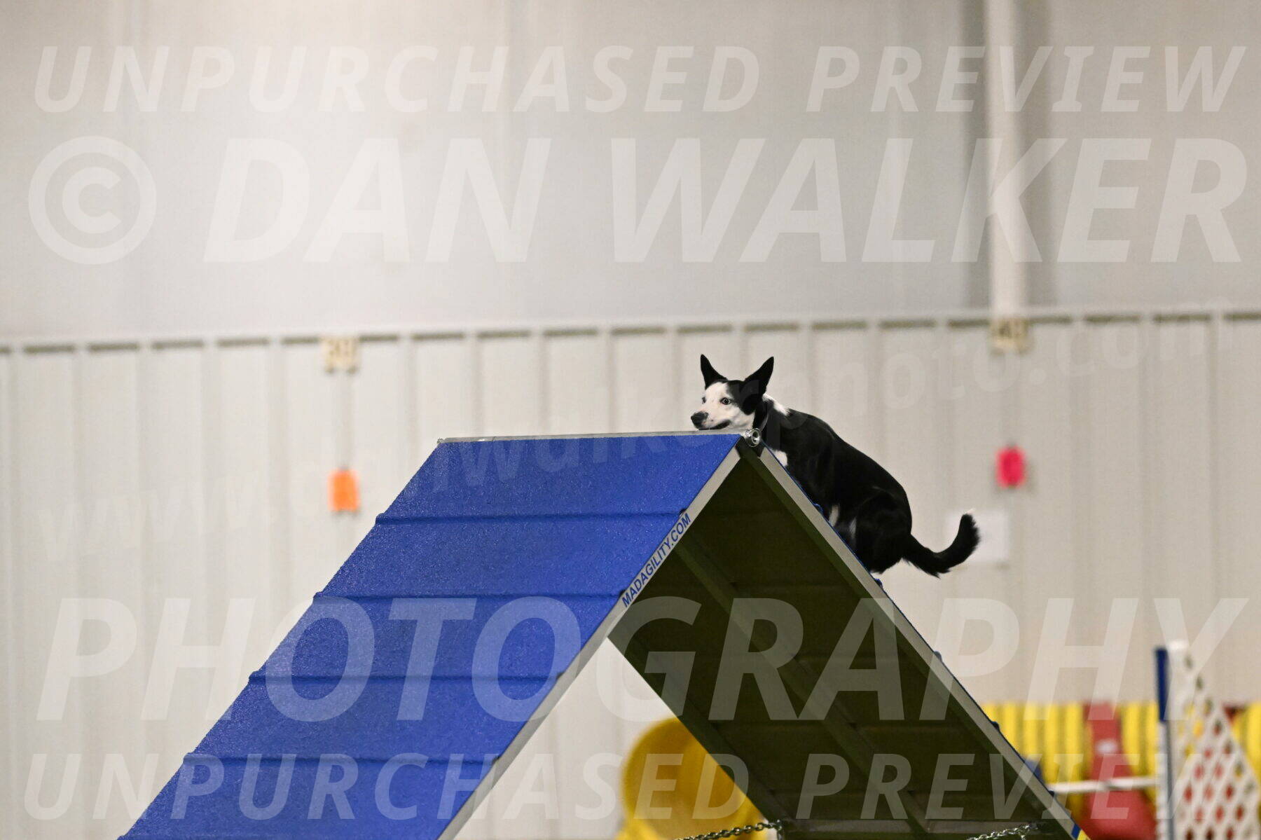 Ice-Jennifer-Walsh-07316