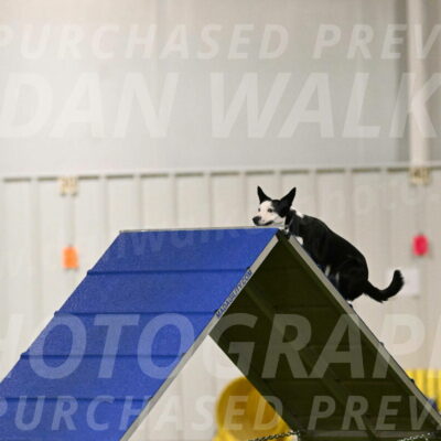 Ice-Jennifer-Walsh-07316