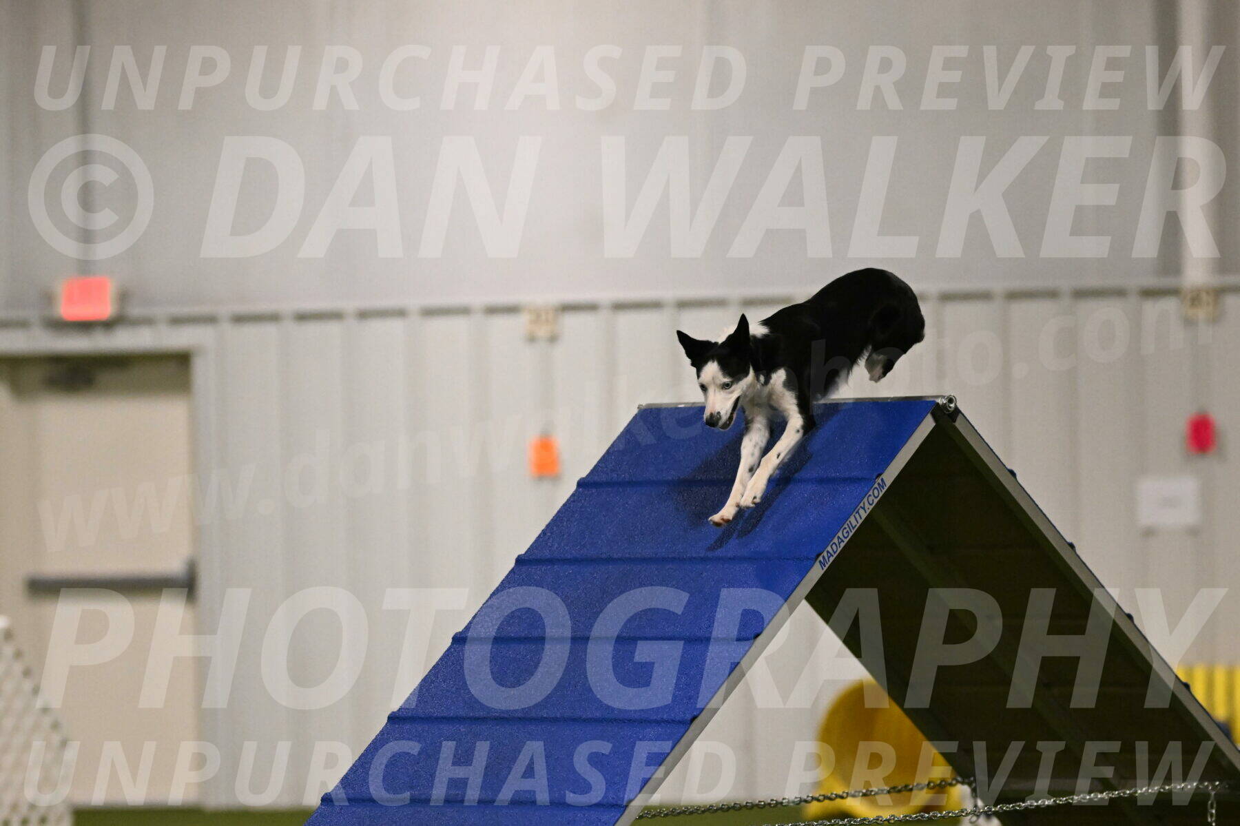 Ice-Jennifer-Walsh-07317