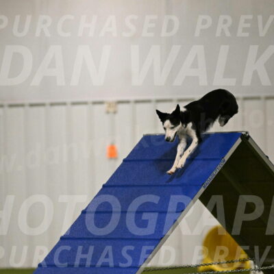 Ice-Jennifer-Walsh-07317