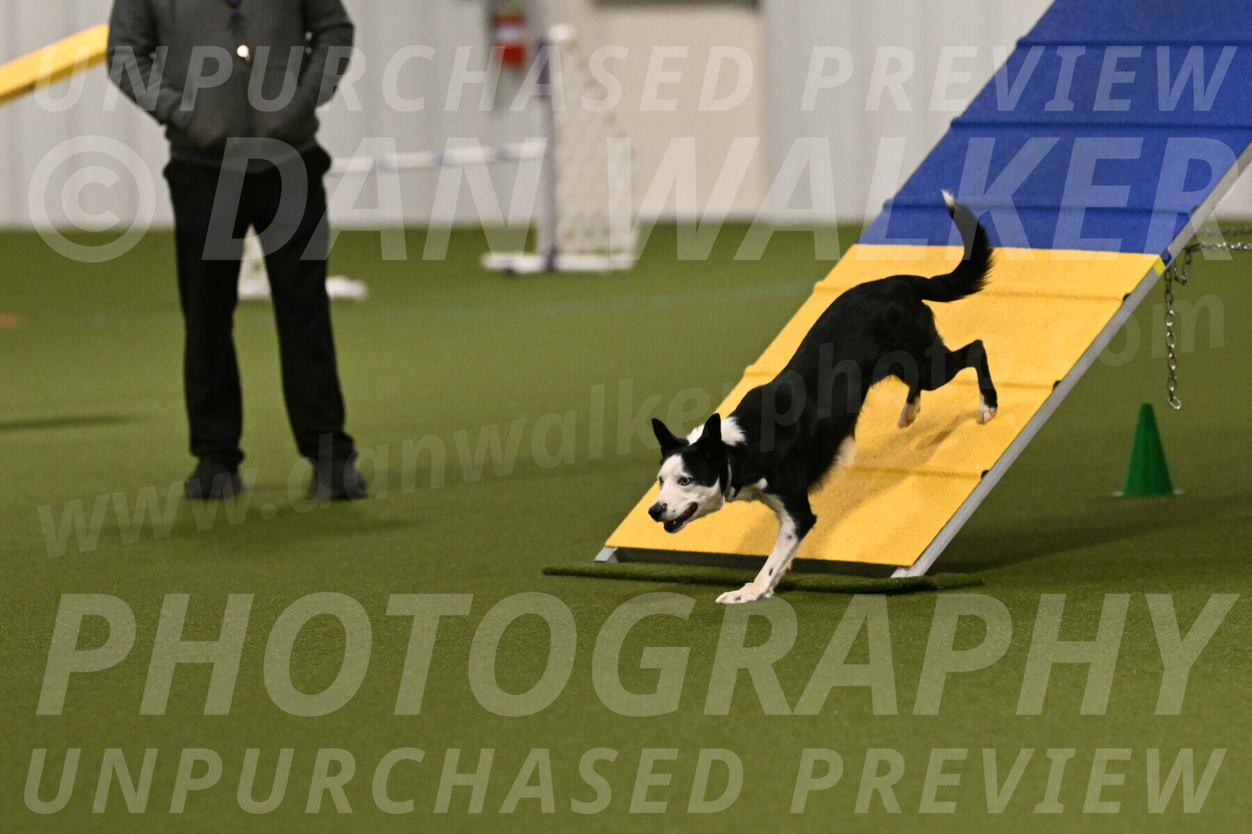 Ice-Jennifer-Walsh-07318