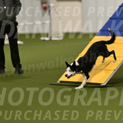 Ice-Jennifer-Walsh-07318