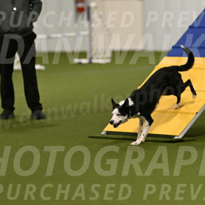 Ice-Jennifer-Walsh-07319