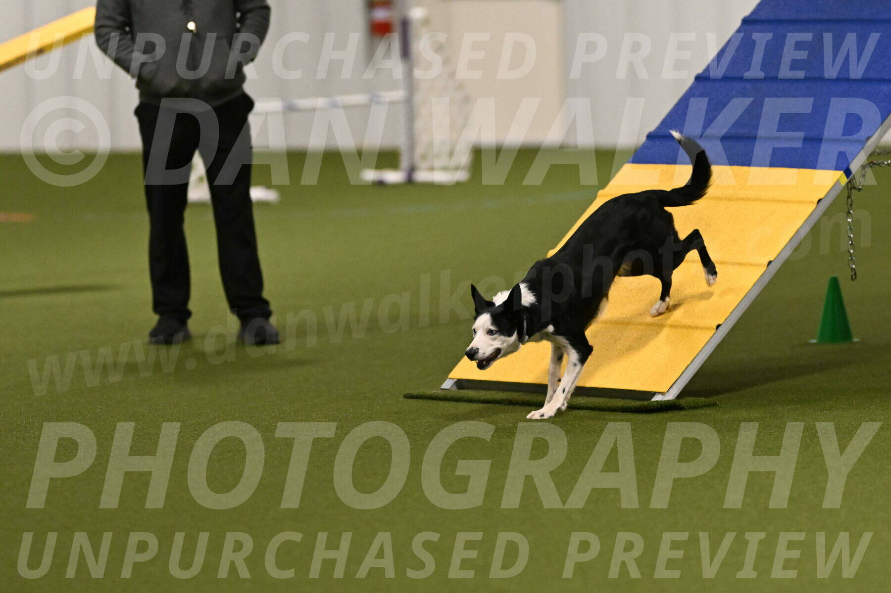 Ice-Jennifer-Walsh-07319