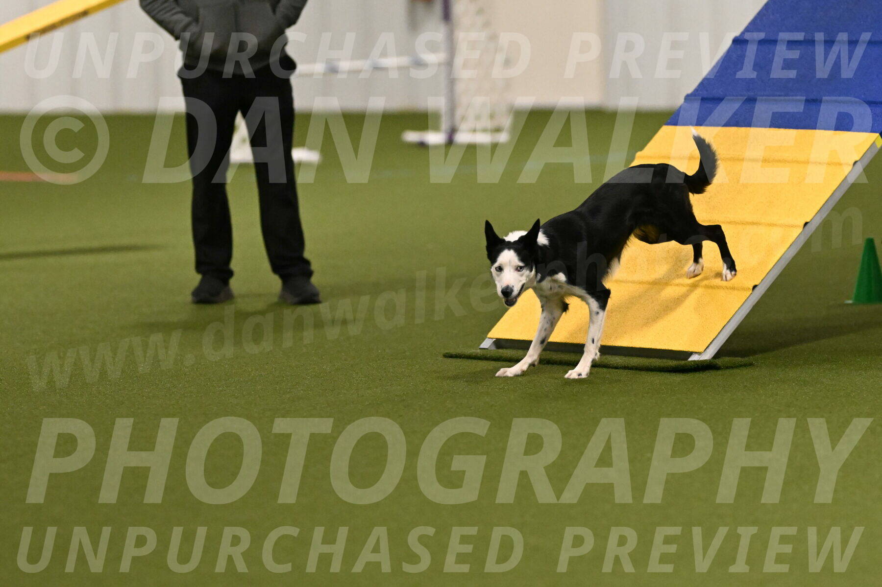 Ice-Jennifer-Walsh-07320