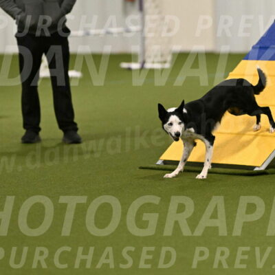 Ice-Jennifer-Walsh-07321