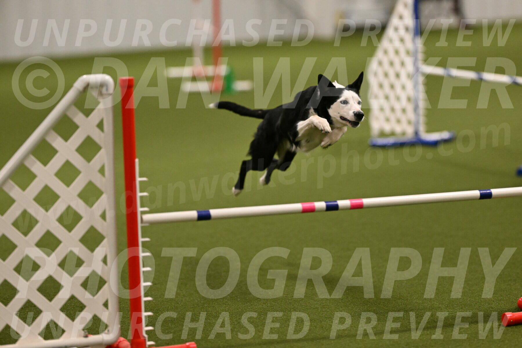 Ice-Jennifer-Walsh-07322