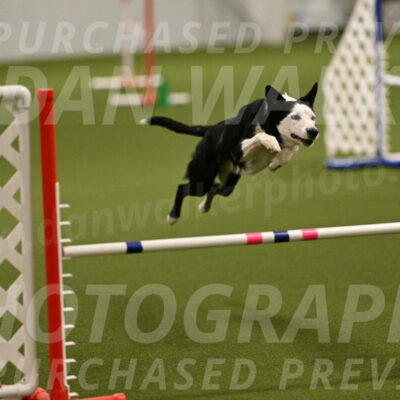 Ice-Jennifer-Walsh-07322