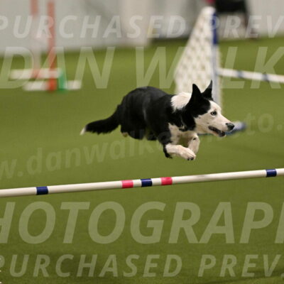 Ice-Jennifer-Walsh-07323