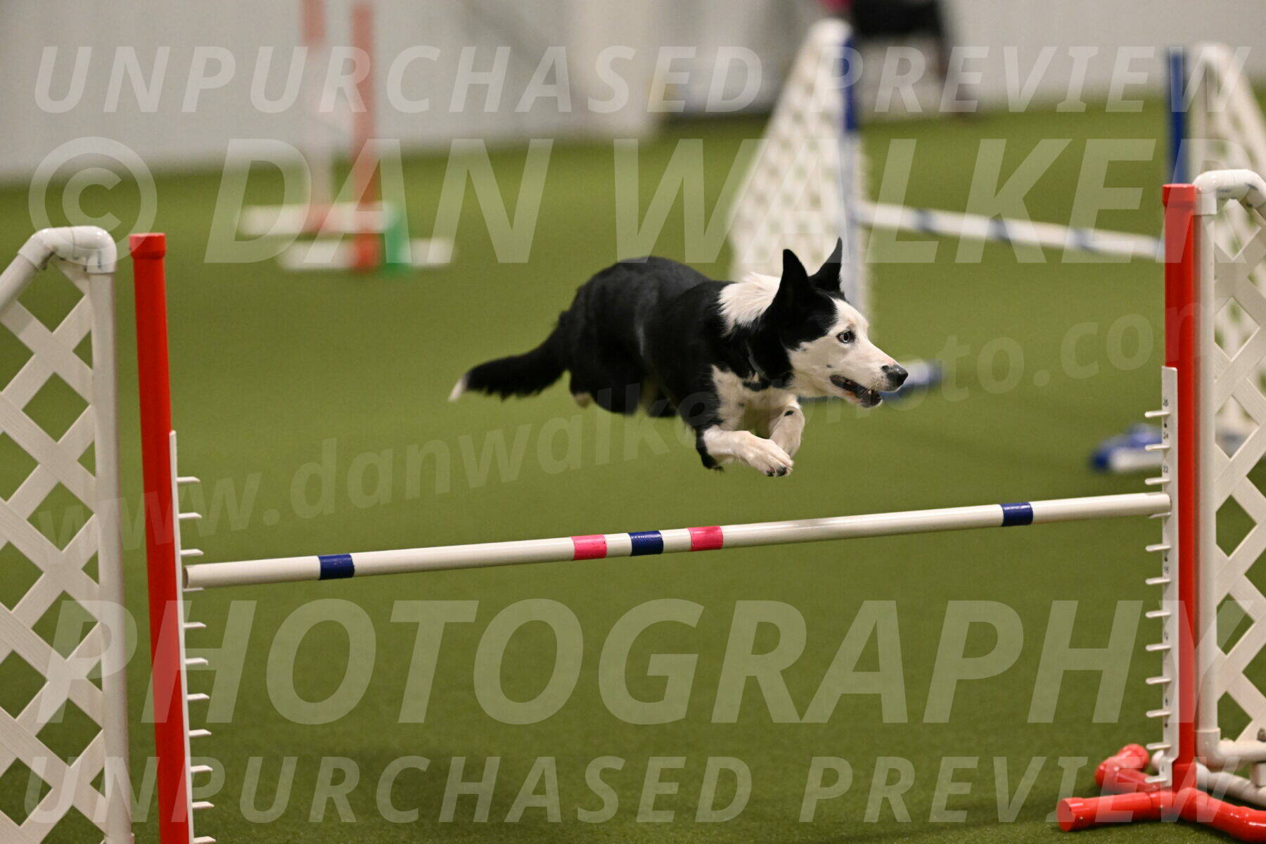 Ice-Jennifer-Walsh-07323