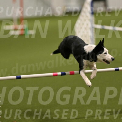 Ice-Jennifer-Walsh-07324