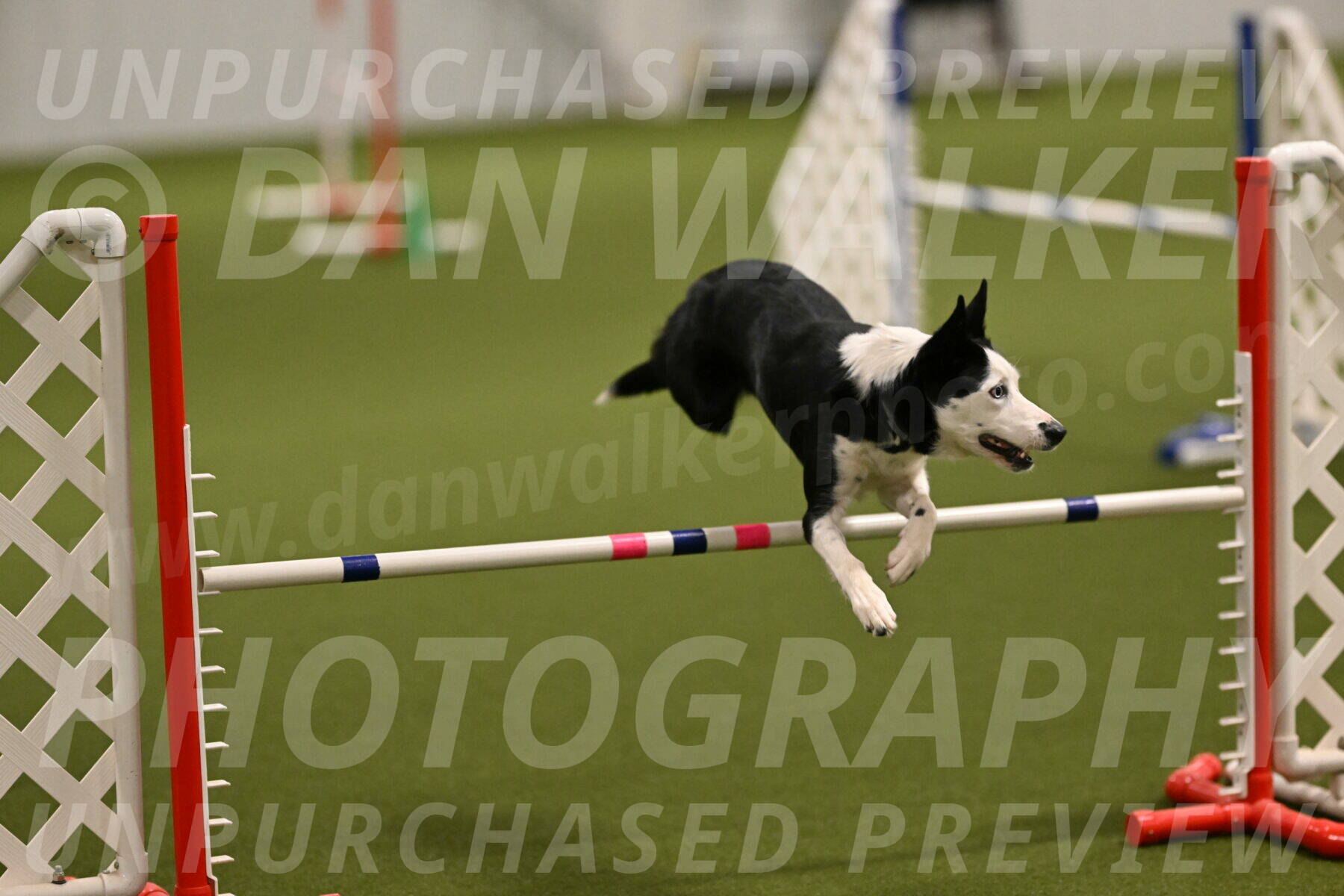 Ice-Jennifer-Walsh-07324