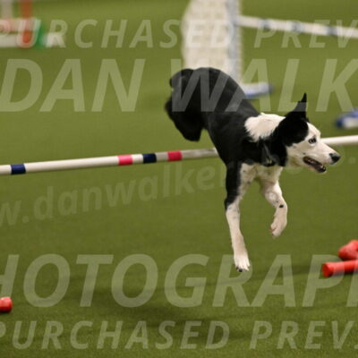 Ice-Jennifer-Walsh-07325