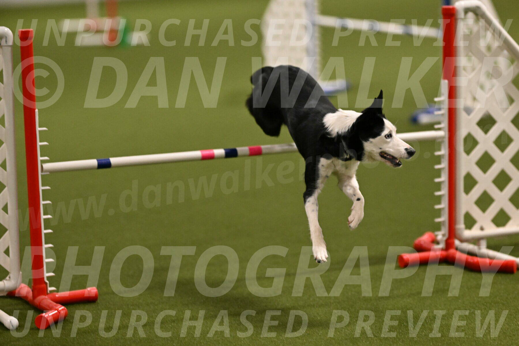 Ice-Jennifer-Walsh-07325