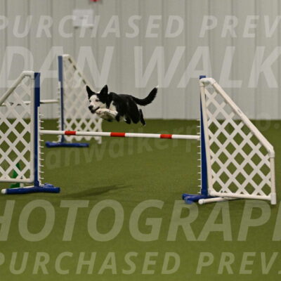 Ice-Jennifer-Walsh-07326