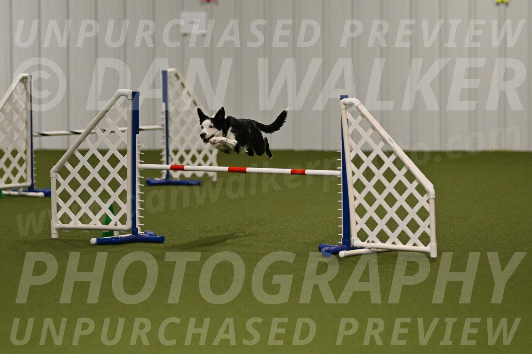 Ice-Jennifer-Walsh-07326