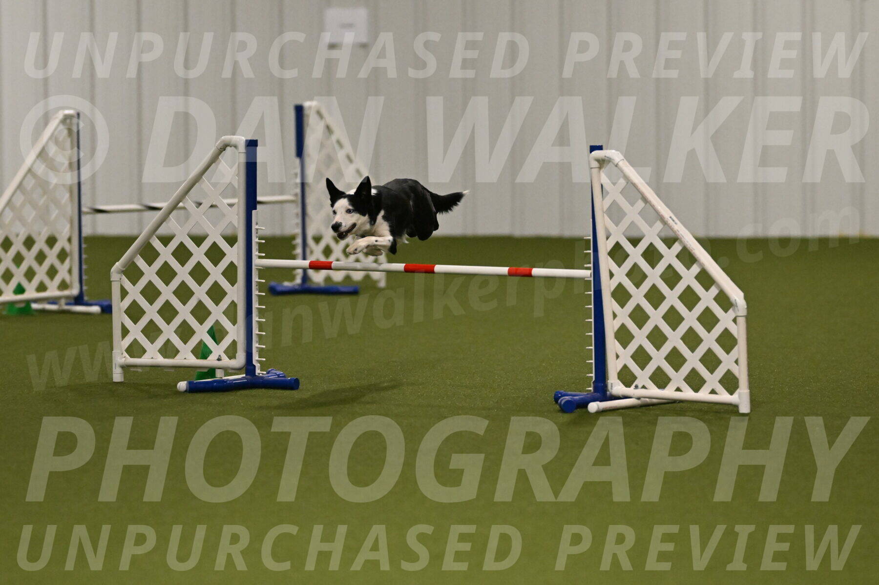 Ice-Jennifer-Walsh-07327