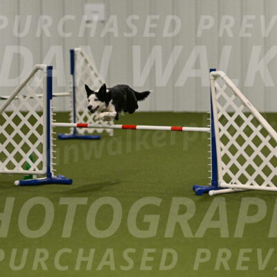 Ice-Jennifer-Walsh-07327