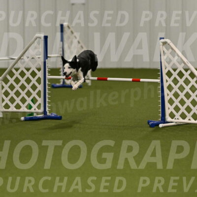 Ice-Jennifer-Walsh-07328