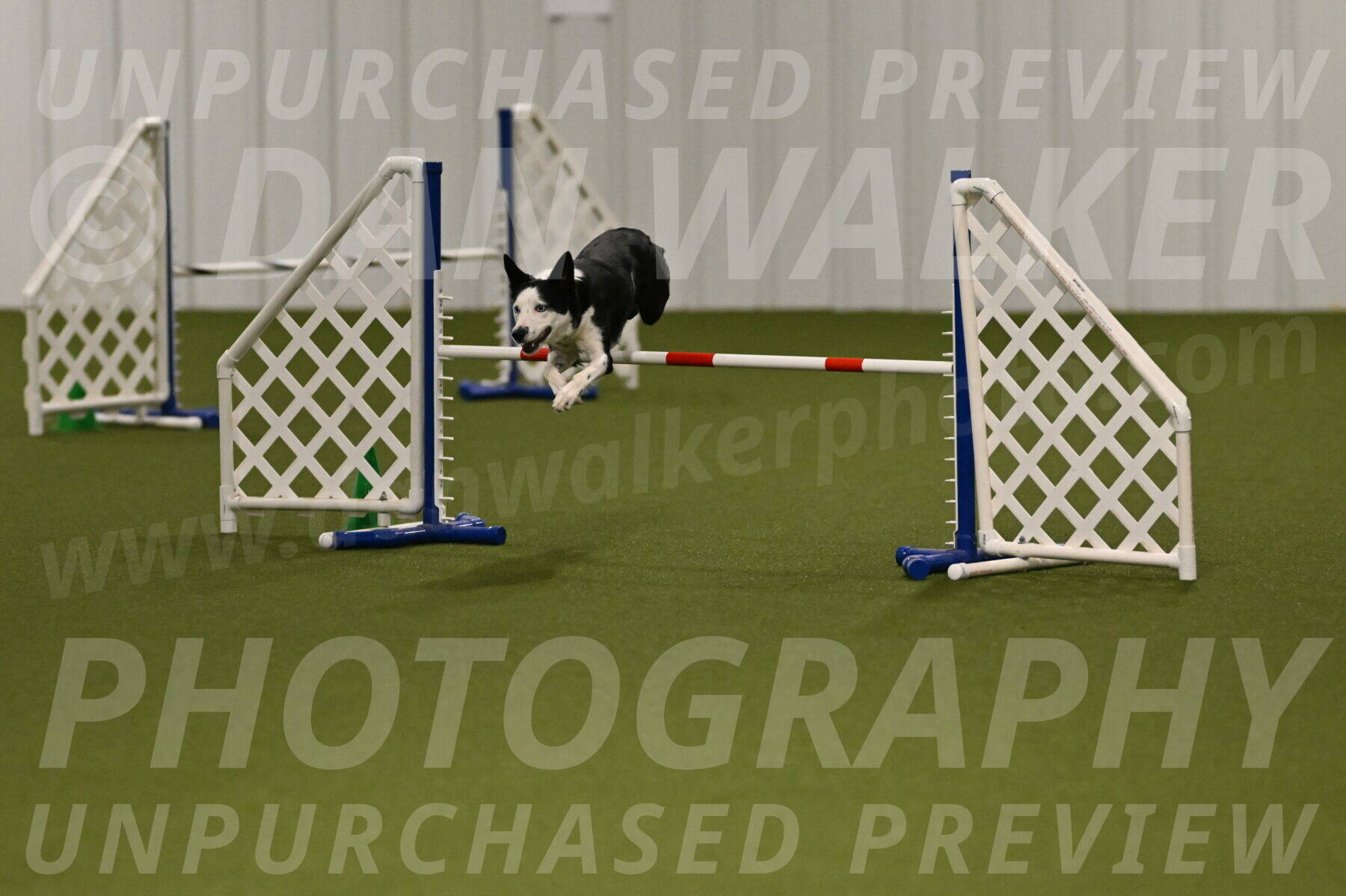 Ice-Jennifer-Walsh-07328