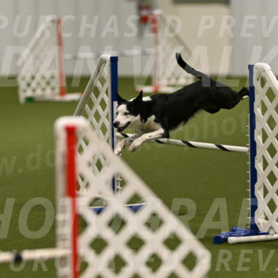 Ice-Jennifer-Walsh-07329