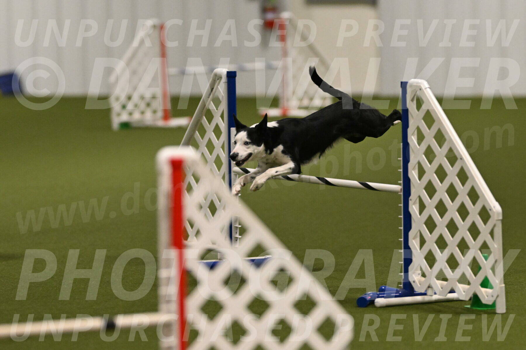 Ice-Jennifer-Walsh-07329