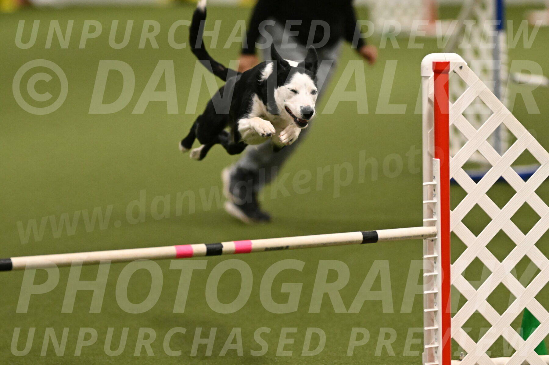 Ice-Jennifer-Walsh-07330