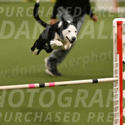 Ice-Jennifer-Walsh-07330