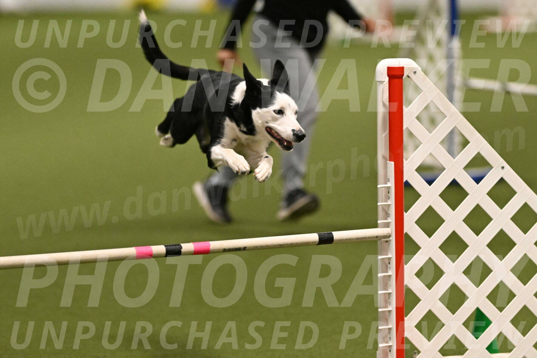 Ice-Jennifer-Walsh-07331