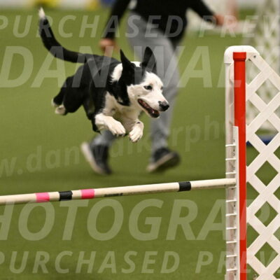 Ice-Jennifer-Walsh-07331