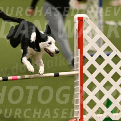 Ice-Jennifer-Walsh-07332