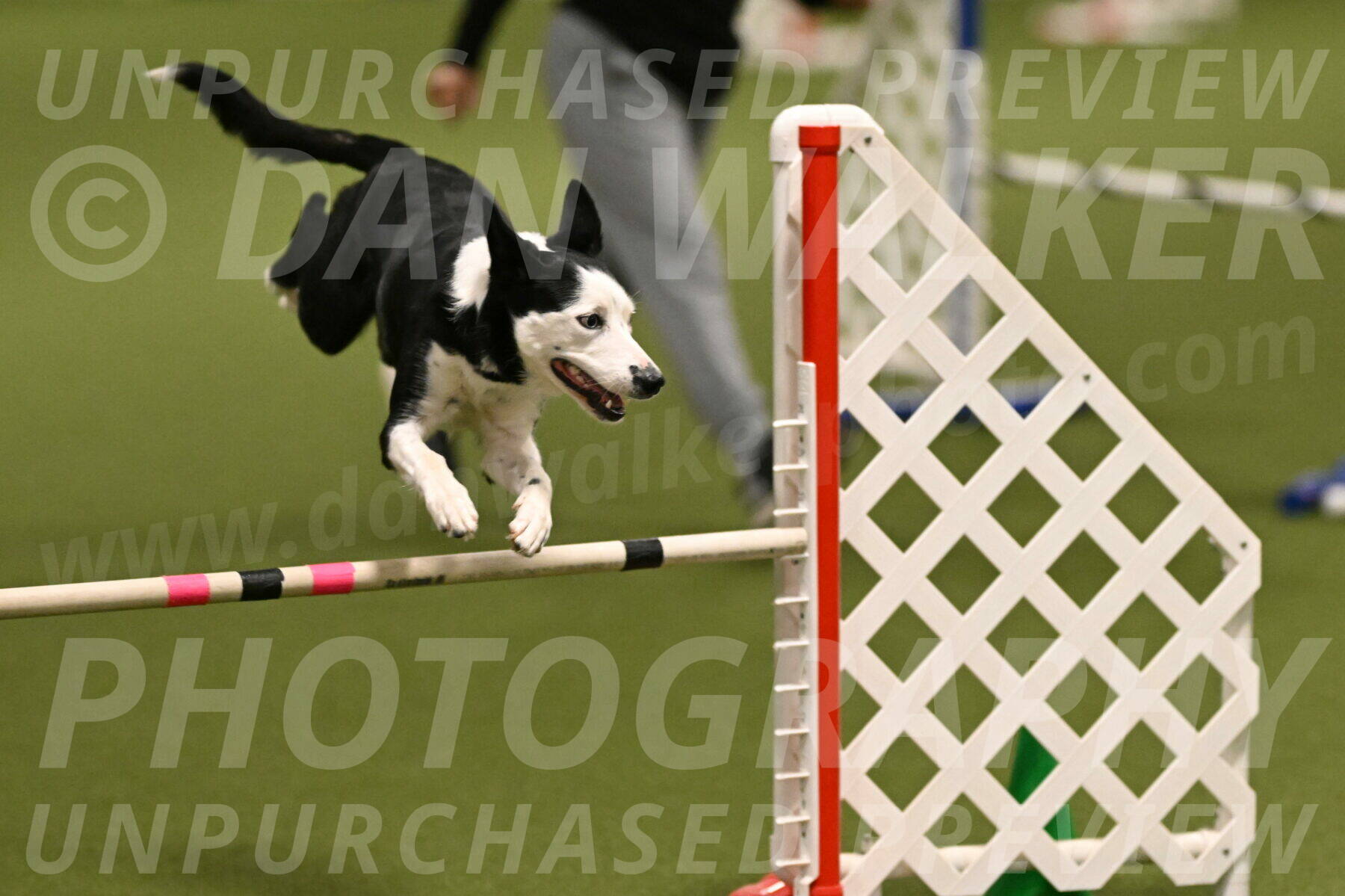 Ice-Jennifer-Walsh-07332