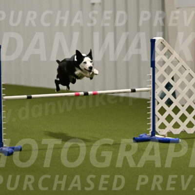 Ice-Jennifer-Walsh-07333