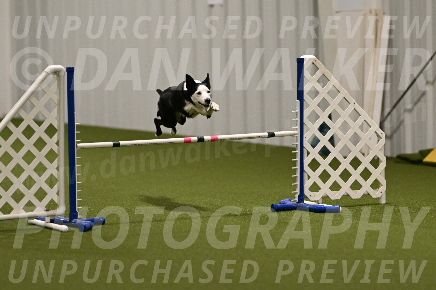 Ice-Jennifer-Walsh-07333