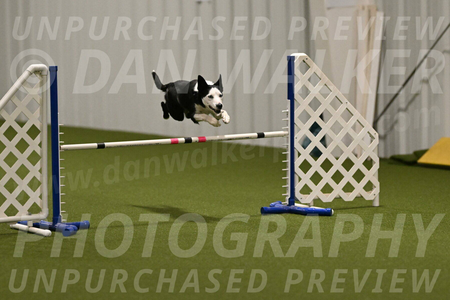 Ice-Jennifer-Walsh-07334