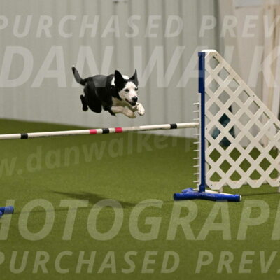 Ice-Jennifer-Walsh-07334