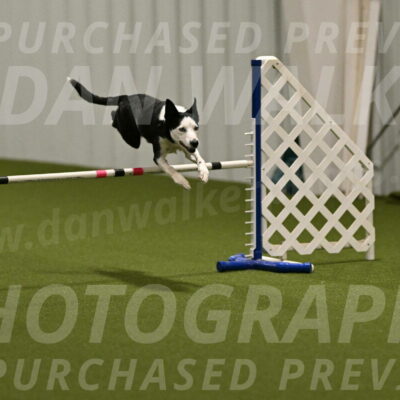 Ice-Jennifer-Walsh-07335