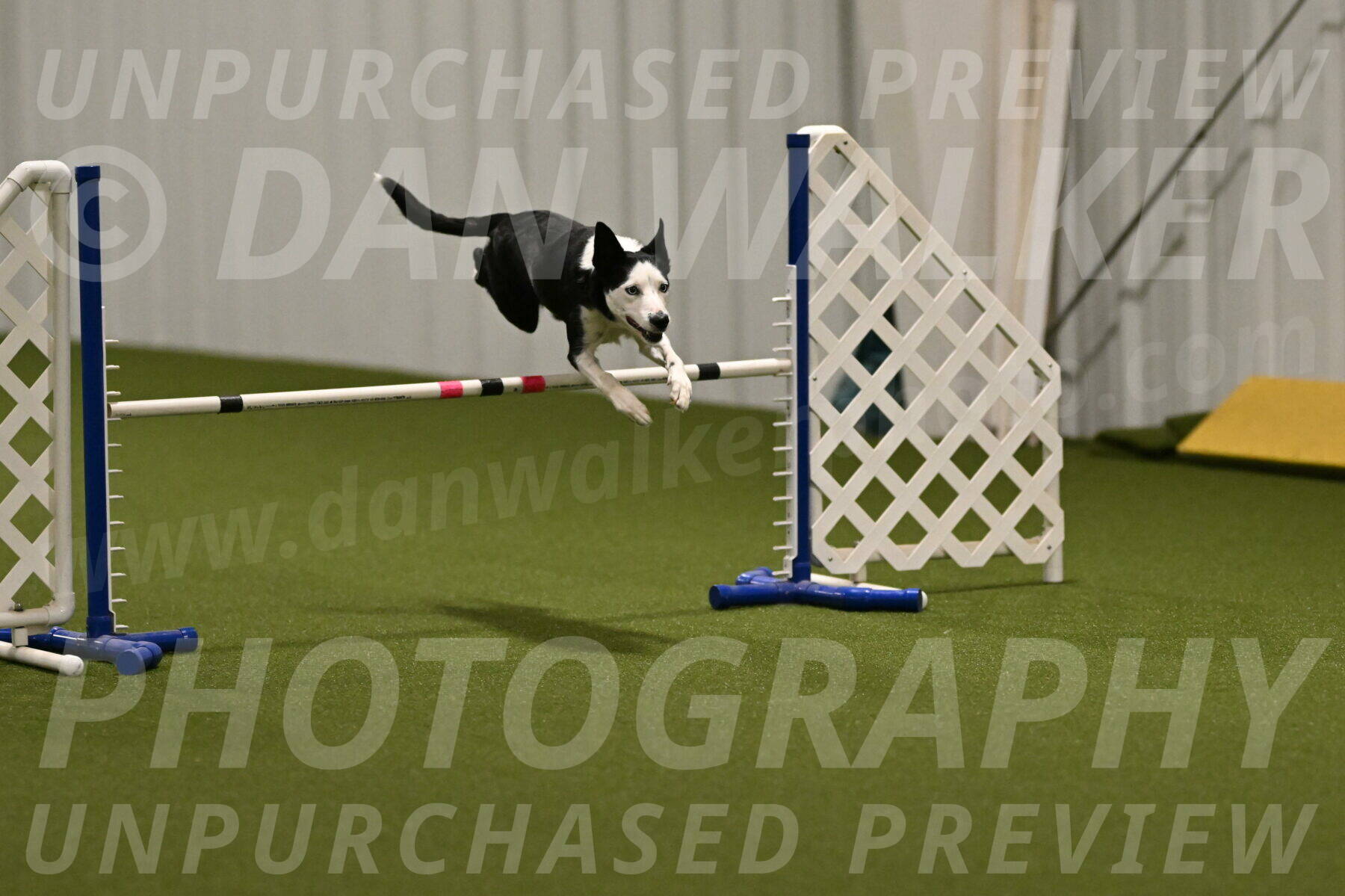 Ice-Jennifer-Walsh-07335