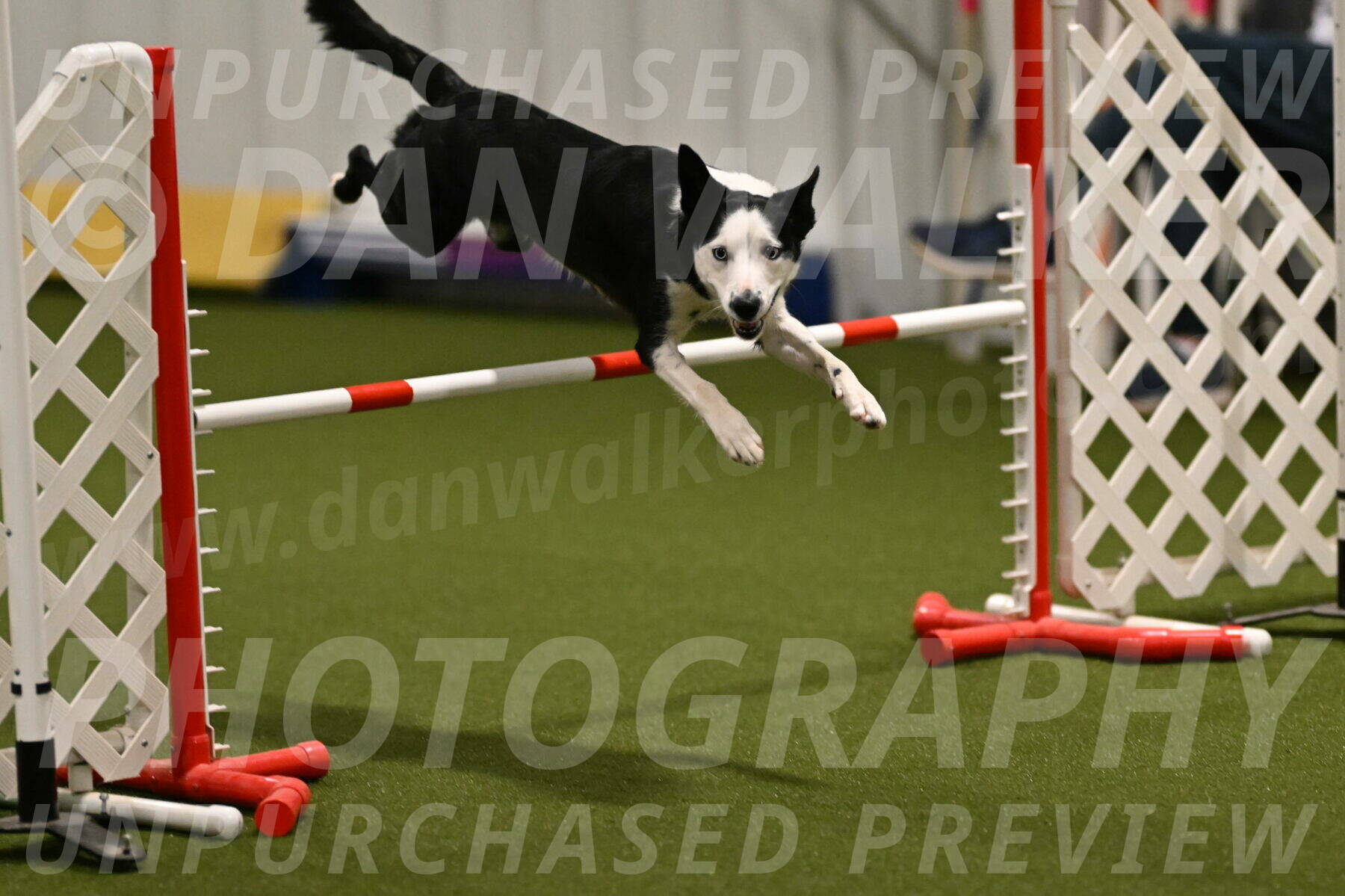 Ice-Jennifer-Walsh-07336