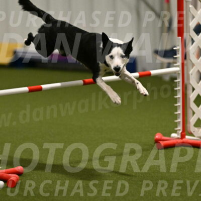 Ice-Jennifer-Walsh-07336