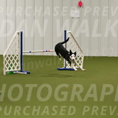 Ice-Jennifer-Walsh-07338