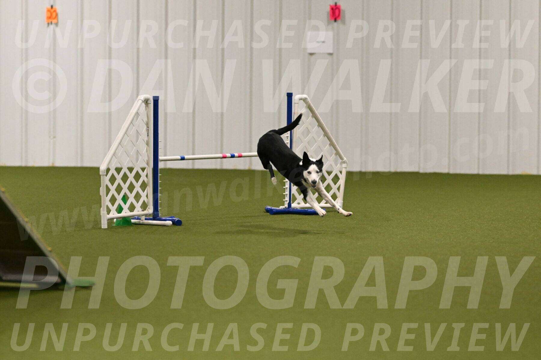 Ice-Jennifer-Walsh-07338